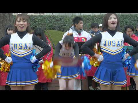 箱根駅伝2019 城西大学全學應援團チアリーダー部BLUE CATS