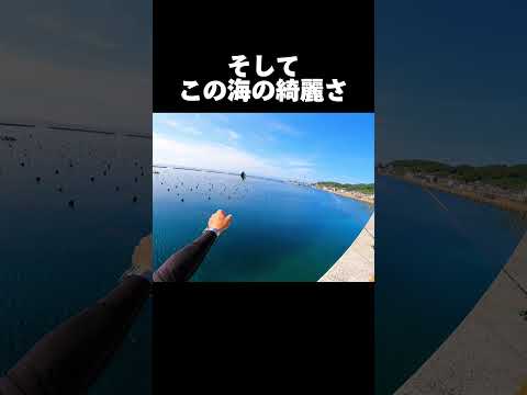 福岡の釣りが釣れすぎる#釣り#福岡釣り#フカセ釣り#相島