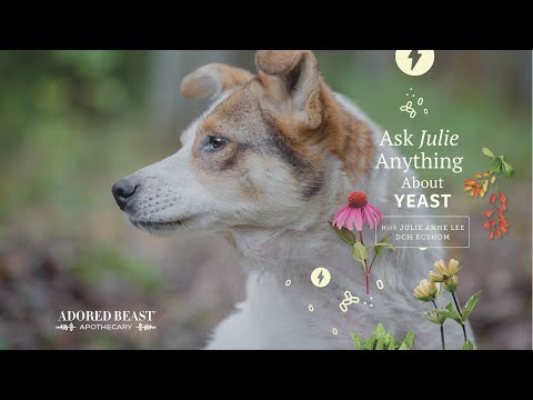 Ask Julie Anything May 2024 Session - All About Yeast