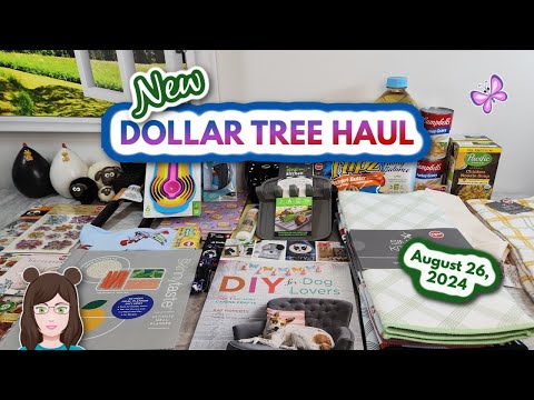 NEW DOLLAR TREE HAUL! Amazing New Finds!! Everything was $1.25! August 26, 2024