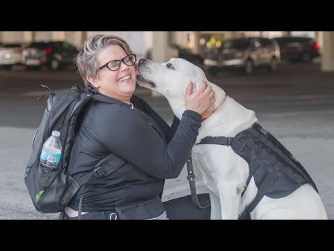 A renewed sense of purpose: Tina's journey with K9s for Warriors