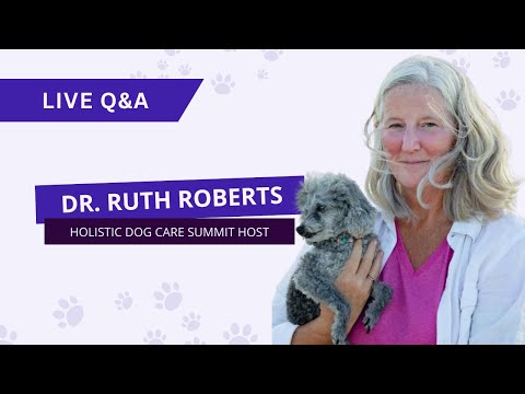 Holistic Dog Care Summit Day 3 Live Q&A