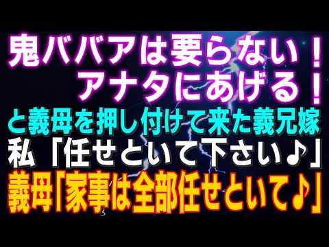 【スカッとする話】「鬼ババアは要らない！アナタにあげる！」と義母を押し付けて来た義兄嫁 私「任せといて下さい♪」義母「家事は全部任せといて♪」天国なんだがｗ