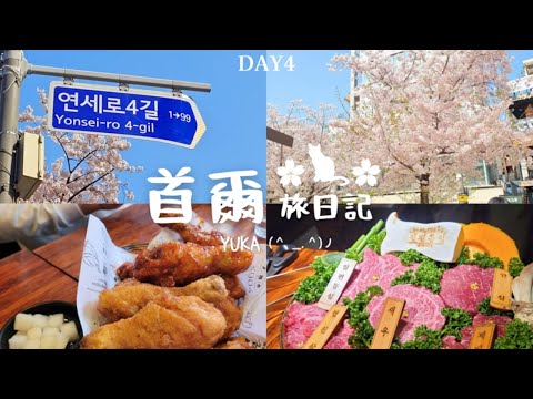 Korea Seoul Travel VLOG  Hanok Beef Eating Experience for the First Time