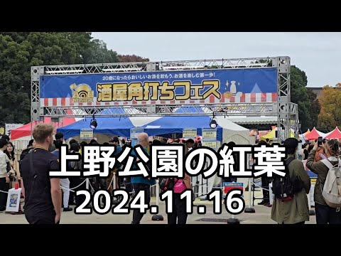 酒屋角打ちフェスと紅葉　上野公園