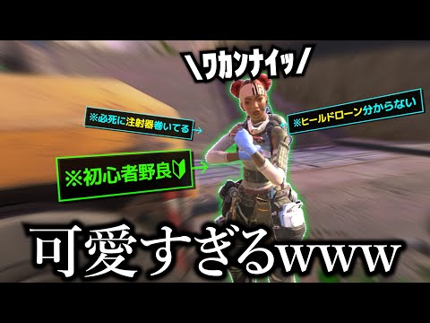 何も分からない初心者野良ライフラが可愛すぎる【APEX】