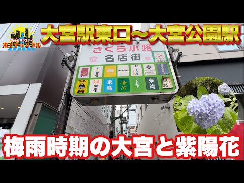 【ぶらり.大宮】レインシーズンの大宮ぶらり散歩