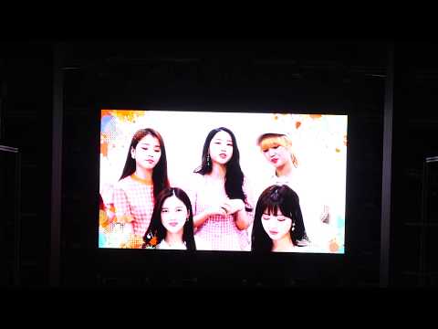 190518 드림콘서트 (2) 오마이걸 중간 VCR 영상 (부분)