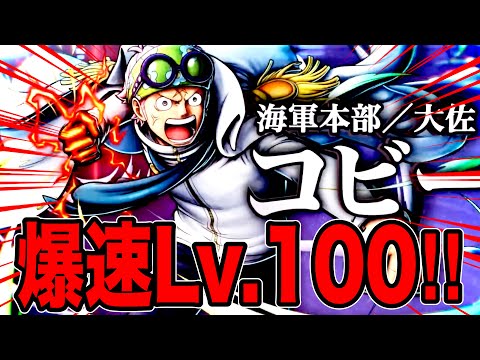 新フェス限コビー爆速Lv.100‼️強さやいかに‼️【バウンティラッシュ】