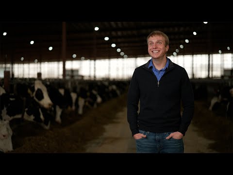 CLAAS Dairy Month Celebration | Horsens Homestead Farms and Milk'n'More Harvesting in Cecil, WI