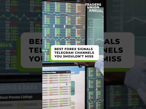Forex Signals on Telegram | How to Use Them
