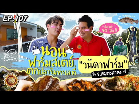 นอนฟาร์มสเตย์ ตกปลาริมทะเล ที่ "วนิดาฟาร์ม" จ.สมุทรสาคร | สมุดโคจร EP.107 | 04.08.67 [Full]