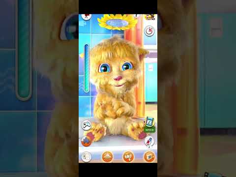 Talking Tom funny 🤣🤣#shortvideo #short