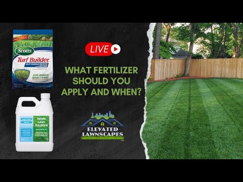 What Fertilizer Should You Apply and When