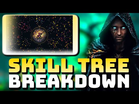 PATH OF EXILE 2 - WHATS THE BEST MINION & BLOOD MAGE SKILL NODES? WITCH SKILL TREE BREAKDOWN