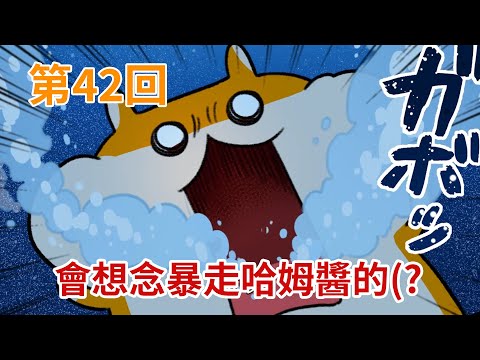 暴走哈姆醬【第42回】會想念暴走哈姆醬的(?