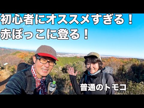 【すごいお手軽！】東京の低山「赤ぼっこ」を存分に楽しんだ！