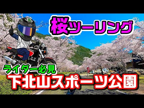 【奈良県下北山スポーツ公園　桜ツーリング】ライダー必見　撮影スポット多数！！