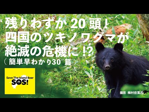 残りわずか20頭！「四国のツキノワグマ」を絶滅の危機から救いたい！（簡単早わかり30″篇）【NACS-J日本自然保護協会】