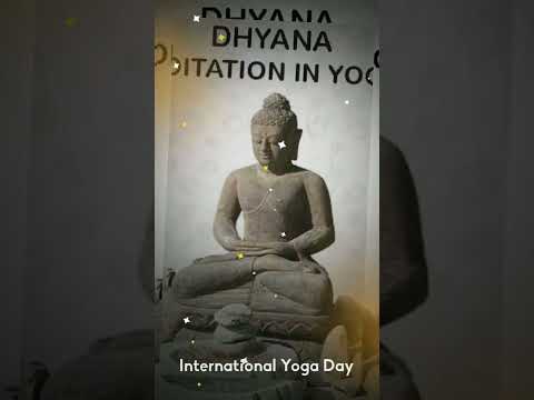 International Yoga day #yoga #intetnational #yogaday #patanjali #videoshorts