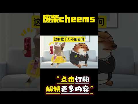 女朋友一直回消息 #cheems #情侣 #爱情 #搞笑 【废柴cheems】