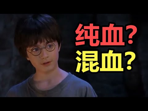 【哈利波特】解惑：哈利是純血還是混血巫師?