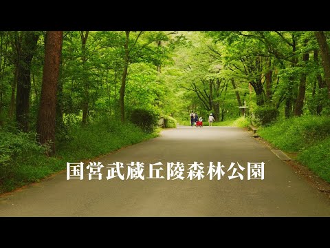 [National Musashi Hills Forest Park] A fun time to take a walk and enjoy flowers!