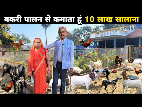 डॉक्टर + मास्टर साहब का शानदार बकरी फार्म | Goat farm | Poultry farming