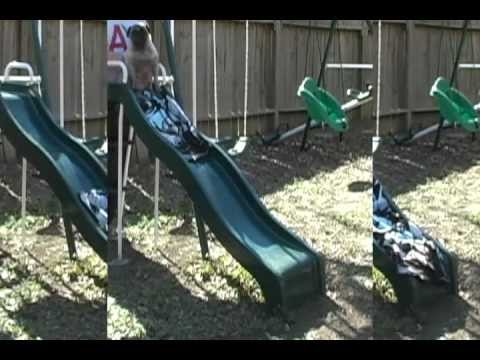 PUG ON A SLIDE