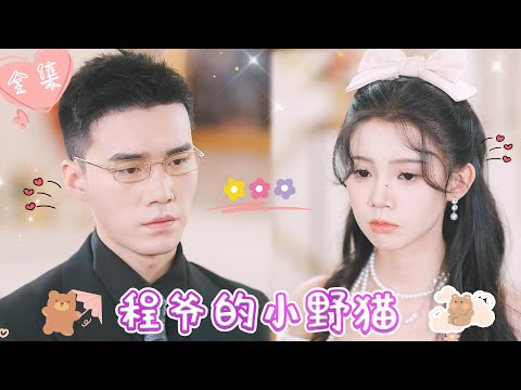 [MULTI SUB]【完整版】| 落魄千金为躲避追杀，误惹帝国集团掌权人，本是各取所需，却在算计中迷失了心《程爷的小野猫》#最火短剧推荐 #短剧全集 | 甜橙剧社