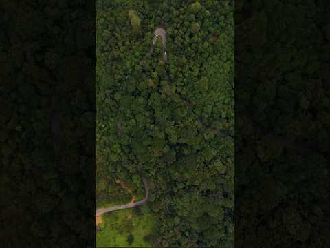 Agumbe😍 - The Cherrapunji of India ❤️.   #agumbe #karnataka #aerial #monsoon #malenadu #trending