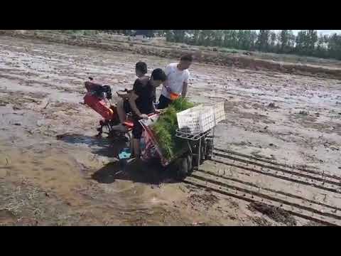 Paddy field single wheel high-speed seedling transplanter display...