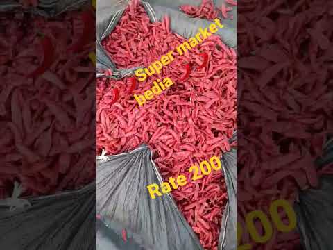 🌶️🌶️super 10 mirchi fulcut mirchi mandi Bedia 🌶️🌶️