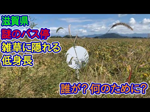 【滋賀県】謎のバス停（誰が？何のために？）