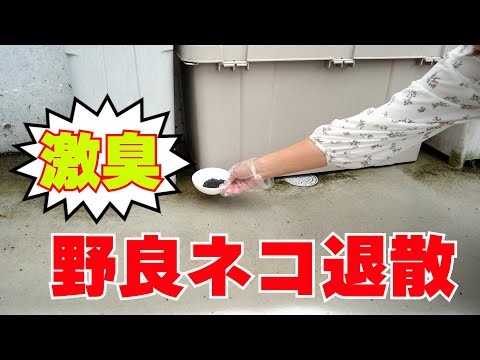 【野良猫対策】強力な臭いで猫を寄せ付けない！ネコの糞尿被害対策！撒いておくだけ猫を臭いで追い払う  猫忌避剤