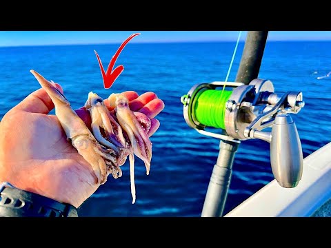 Fishing 55 miles out on a *24ft* Bay Boat for our LUNCH....[Catch, Clean, Cook]