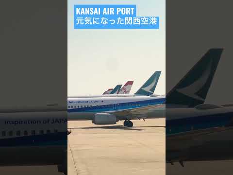 KANSAI AIR PORT 元気になった関西空港 #kansaiairport #kix #japan #osaka #関西空港 #関空 #大阪