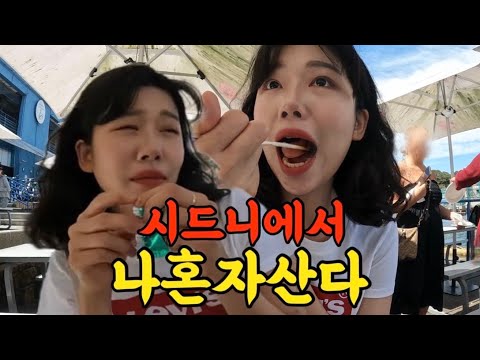 🇦🇺시드니판 노량진에서 멘탈털린 평범한 호주일상 브이로그 [호주워홀17]