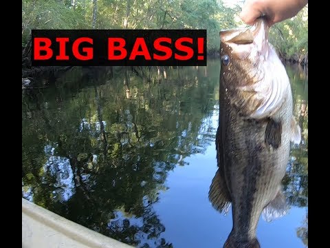 BIG Bass! Gmoneystrong Outdoors fishing tournament.