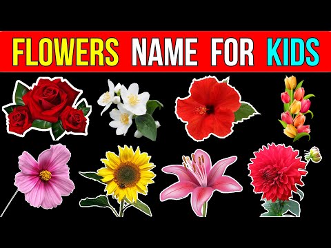 Flowers names for Kids in english - Kids educational videos | Learn flowers names easily