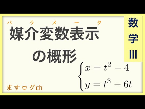 【数学3】媒介変数表示の概形