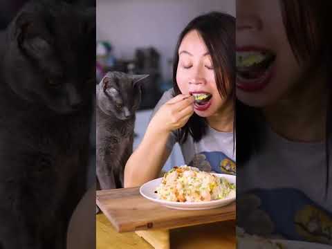 Better than Takeout Shrimp Fried Rice Recipe* My cat is even jealous