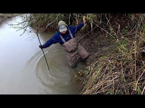 Will I EVER Catch Another BEAVER?! Trapping Skills In Question!