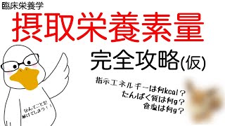 単発解説 6. 給与栄養量 完全攻略(仮)【管理栄養士国家試験対策】