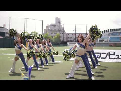 2024/05 All Mitsubishi Lions Cheerleaders