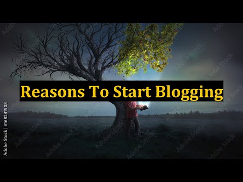 Reasons To Start Blogging