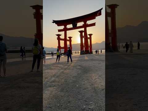 Sunset view of the 50-foot tall torii gate of Itsukushima Shrine that appears to float at high tide.