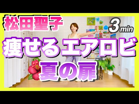 【 松田聖子 / 夏の扉 】痩せるエアロビクスダンスエクササイズで楽しくダイエットダンス