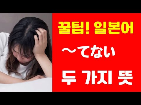 ～てない의 두 가지 뜻 (꿀팁! 일본어 표현)