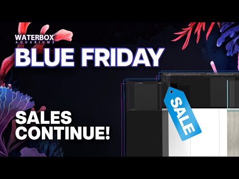 Blue Friday sales continue and we're here to answer any questions you have.